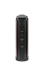 Load image into Gallery viewer, Sonus Faber Aida II