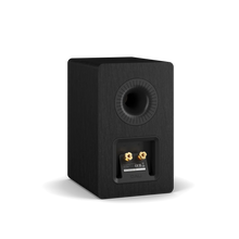 Load image into Gallery viewer, Dali Kupid