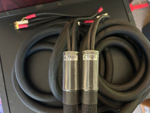 Load image into Gallery viewer, Shunyata ΞTRON Cobra Speaker Cable Spades 3M