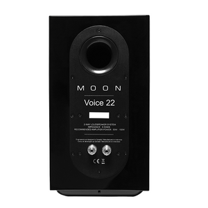 Moon Voice 22