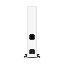 Load image into Gallery viewer, Dali Sonik 7
