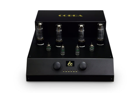 Integrated Amplifiers